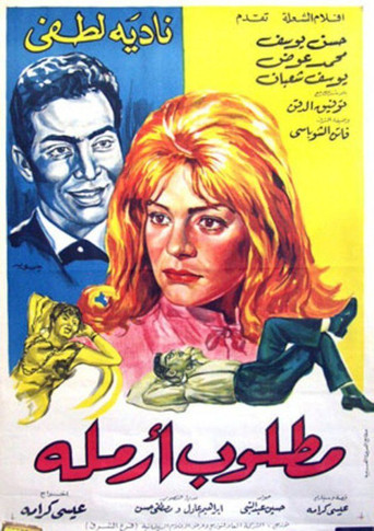 Widow Wanted movie poster