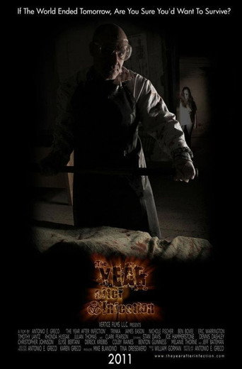 The Year After Infection movie poster