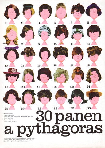 30 Maidens and Pythagoras movie poster
