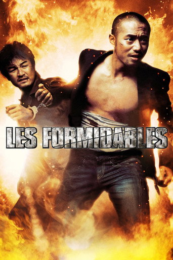 Les Formidables movie poster