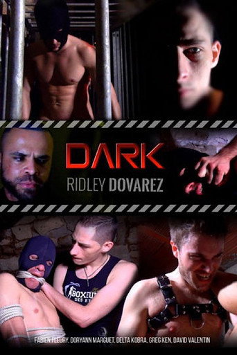 Dark movie poster