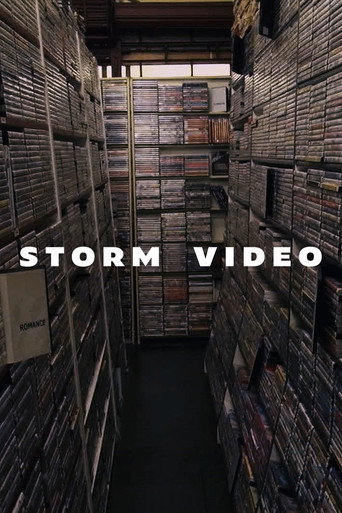 Storm Video movie poster