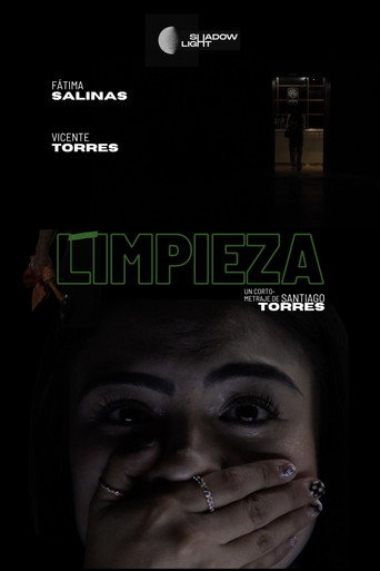 Cleaning movie poster