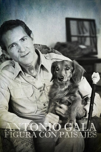 Antonio Gala: figura con paisajes movie poster