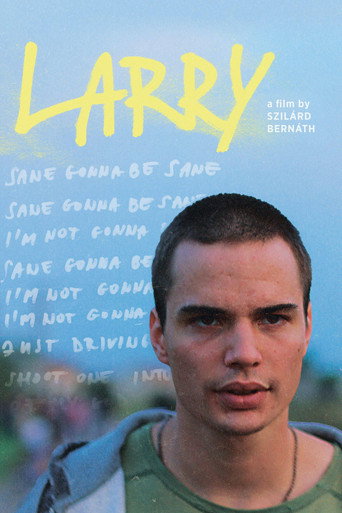 Larry movie poster