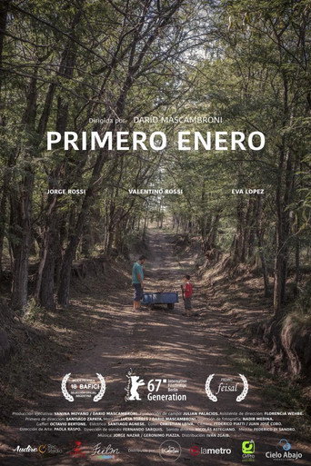 First January movie poster