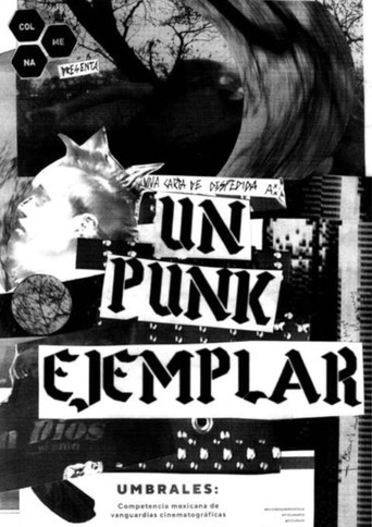 An Exemplary Punk movie poster