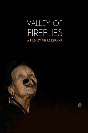 Valley of Fireflies movie poster