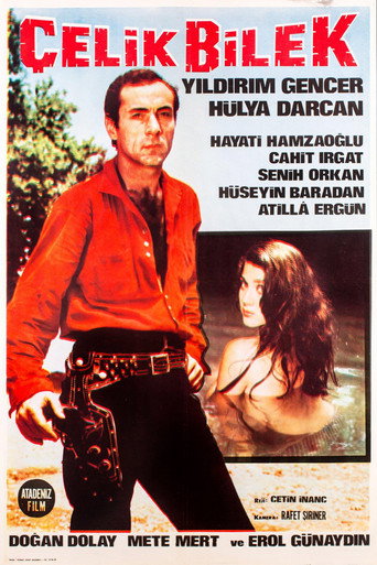 Çelik Bilek movie poster