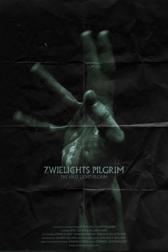 The Half Light Pilgrim movie poster