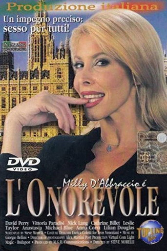 L'Onorevole movie poster