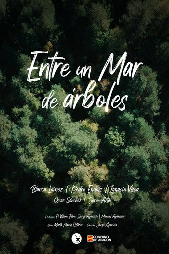Entre un mar de árboles movie poster