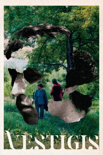 Vestigis movie poster