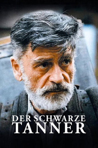 Tanner movie poster