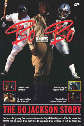 Bo Knows Bo movie poster