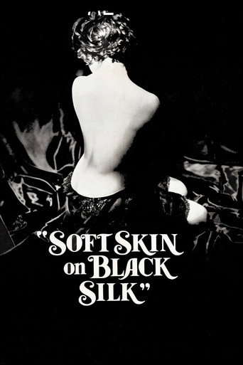 Soft Skin on Black Silk movie poster