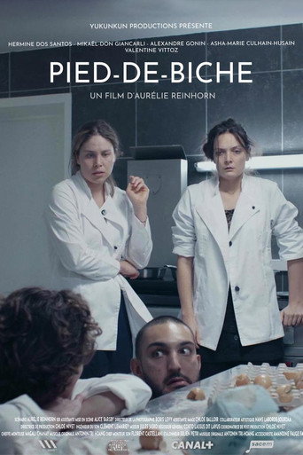 Pied-de-biche movie poster