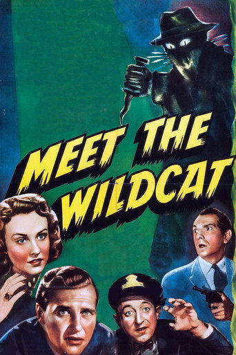 Meet the Wildcat movie poster
