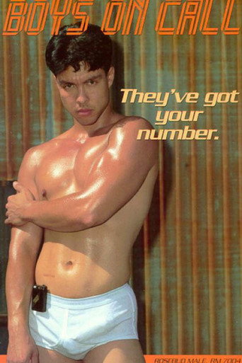 Boys on Call movie poster