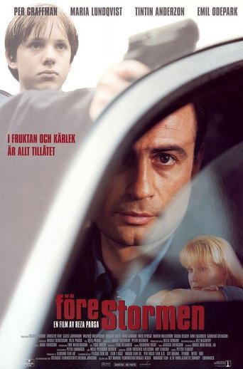 Before the Storm movie poster