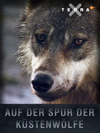 The Hidden Trail: Tracking Canada's Coastal Wolves movie poster