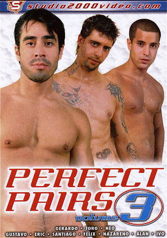 Perfect Pairs 3 movie poster