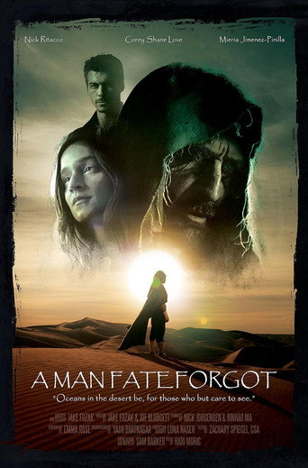 A Man Fate Forgot movie poster