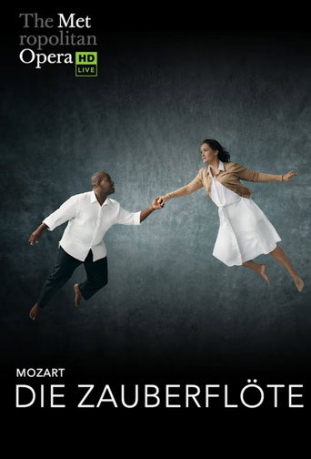 The Metropolitan Opera: The Magic Flute movie poster