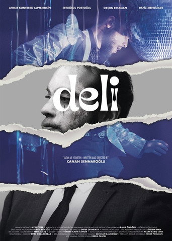 Insane movie poster