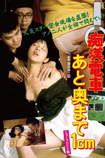 Molester's Train: 1 Centimeter From The Wall movie poster
