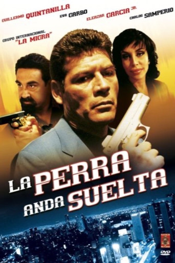 La Perra Anda Suelta movie poster