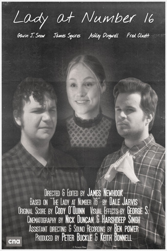 Lady at Number 16 movie poster