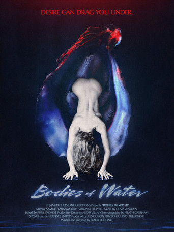 Bodies of Water movie poster