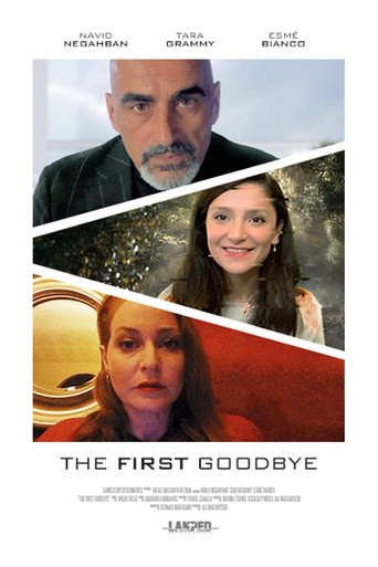The First Goodbye movie poster