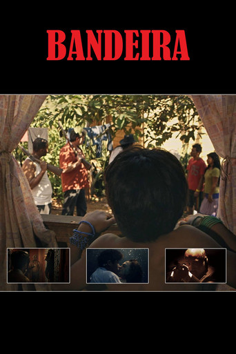Four-Colored Banner movie poster