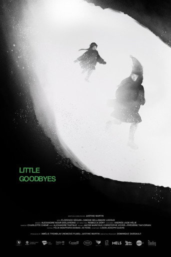 Little Goodbyes movie poster