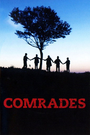 Comrades movie poster