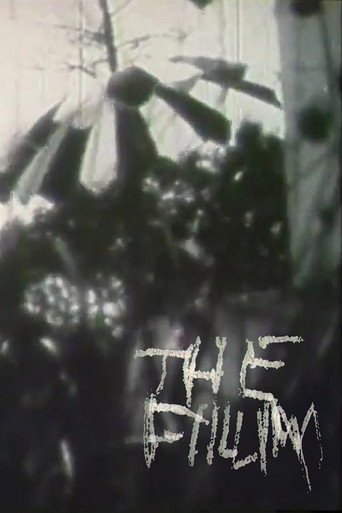 The Film movie poster