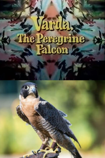 Varda, the Peregrine Falcon movie poster