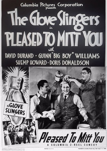 Pleased to Mitt You movie poster