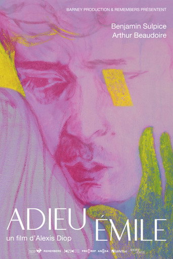 Farewell Emile movie poster