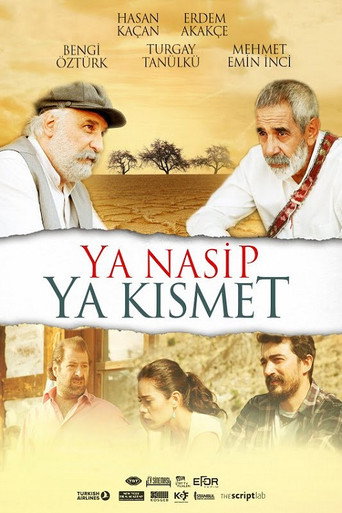 Ya Nasip Ya Kısmet movie poster