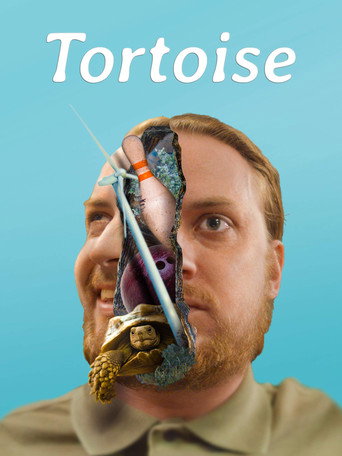 Tortoise movie poster