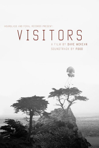 Visitors movie poster