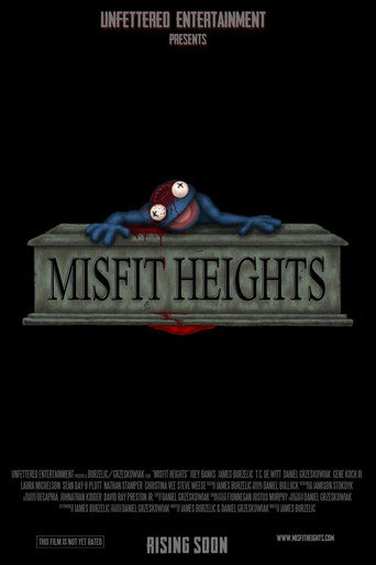 Misfit Heights movie poster