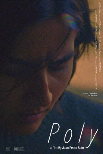 Poly movie poster