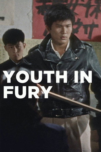 Youth in Fury movie poster