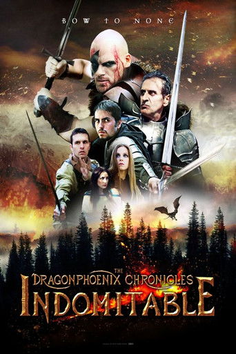 Indomitable: The Dragonphoenix Chronicles movie poster