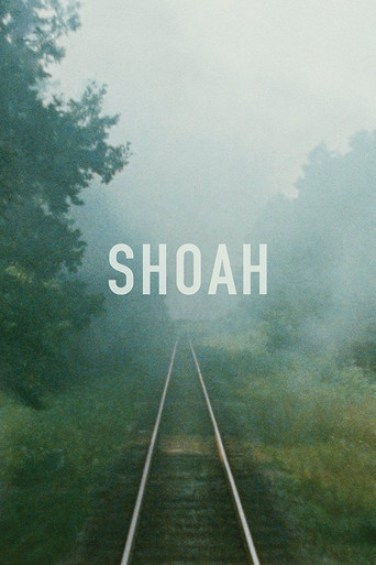 Shoah movie poster