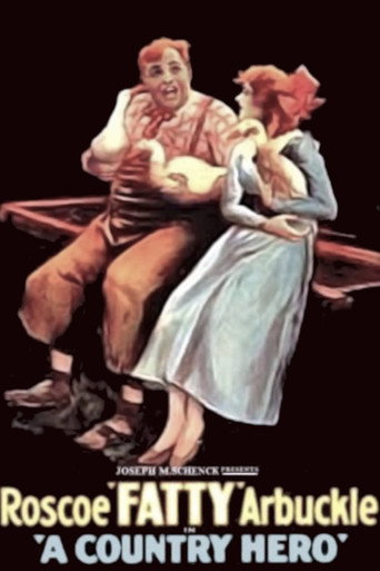 A Country Hero movie poster